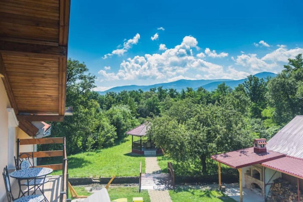 Horace Guesthouse Pool & Hot Tub & Bikes & River Dejani Екстер'єр фото