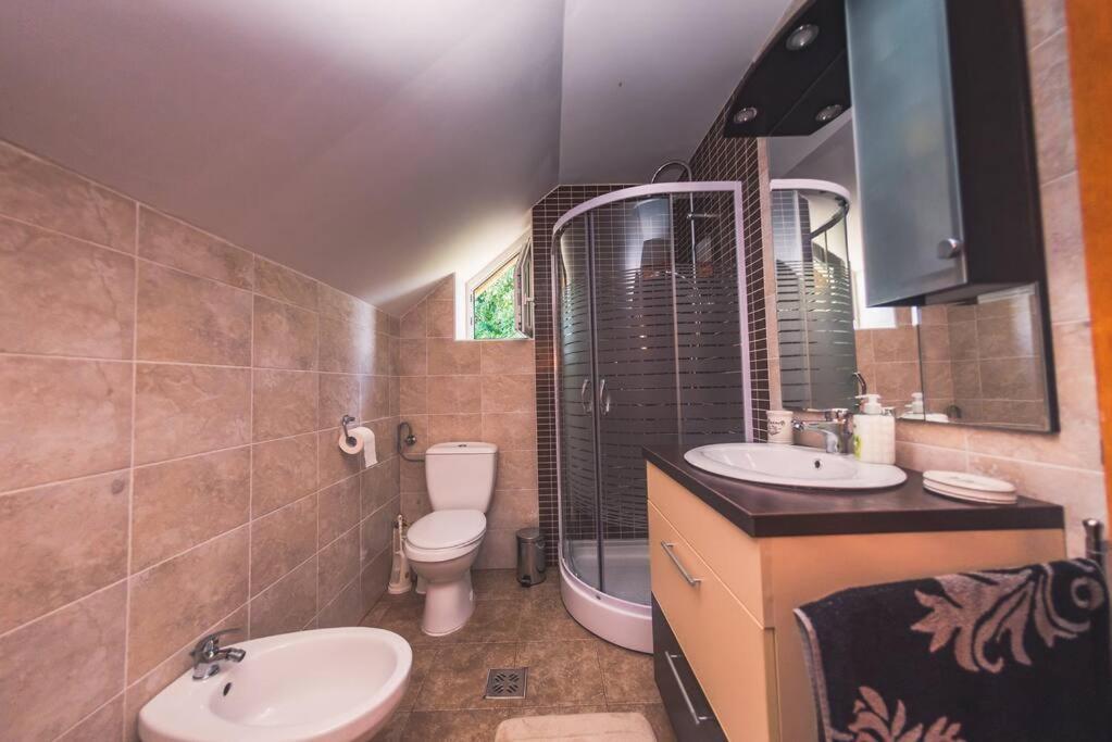 Horace Guesthouse Pool & Hot Tub & Bikes & River Dejani Екстер'єр фото