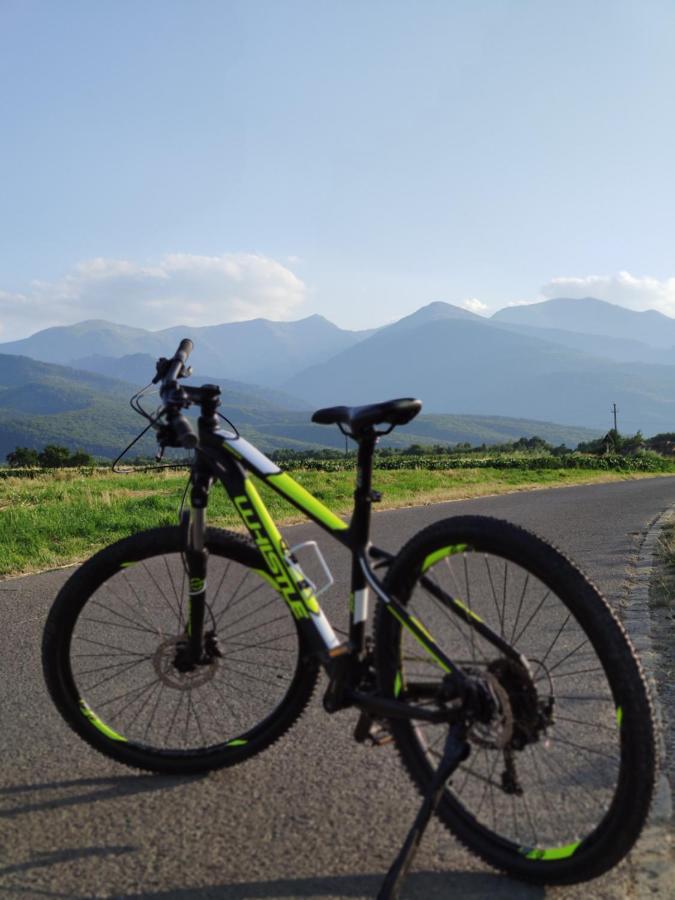 Horace Guesthouse Pool & Hot Tub & Bikes & River Dejani Екстер'єр фото