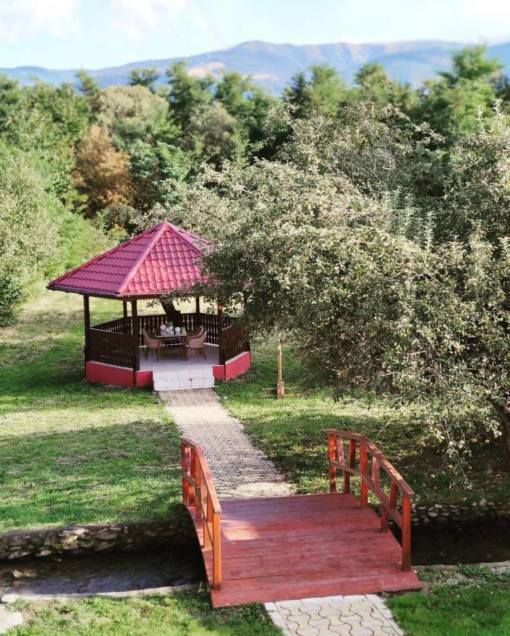 Horace Guesthouse Pool & Hot Tub & Bikes & River Dejani Екстер'єр фото