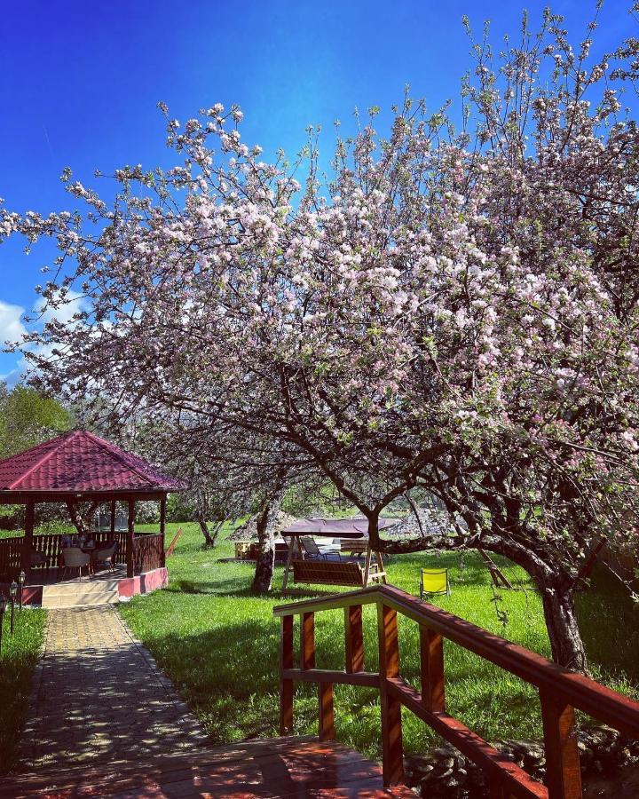 Horace Guesthouse Pool & Hot Tub & Bikes & River Dejani Екстер'єр фото